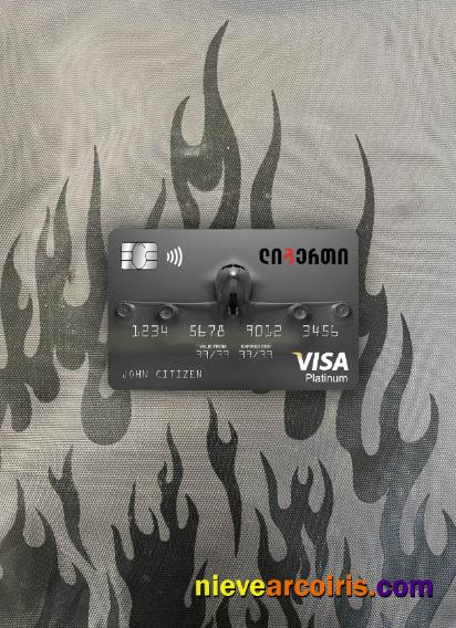 Georgia Liberty bank visa platinum card photolook